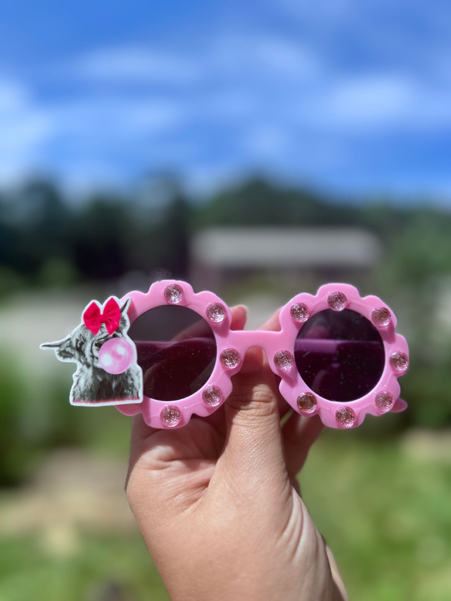 Highland cow sunnies