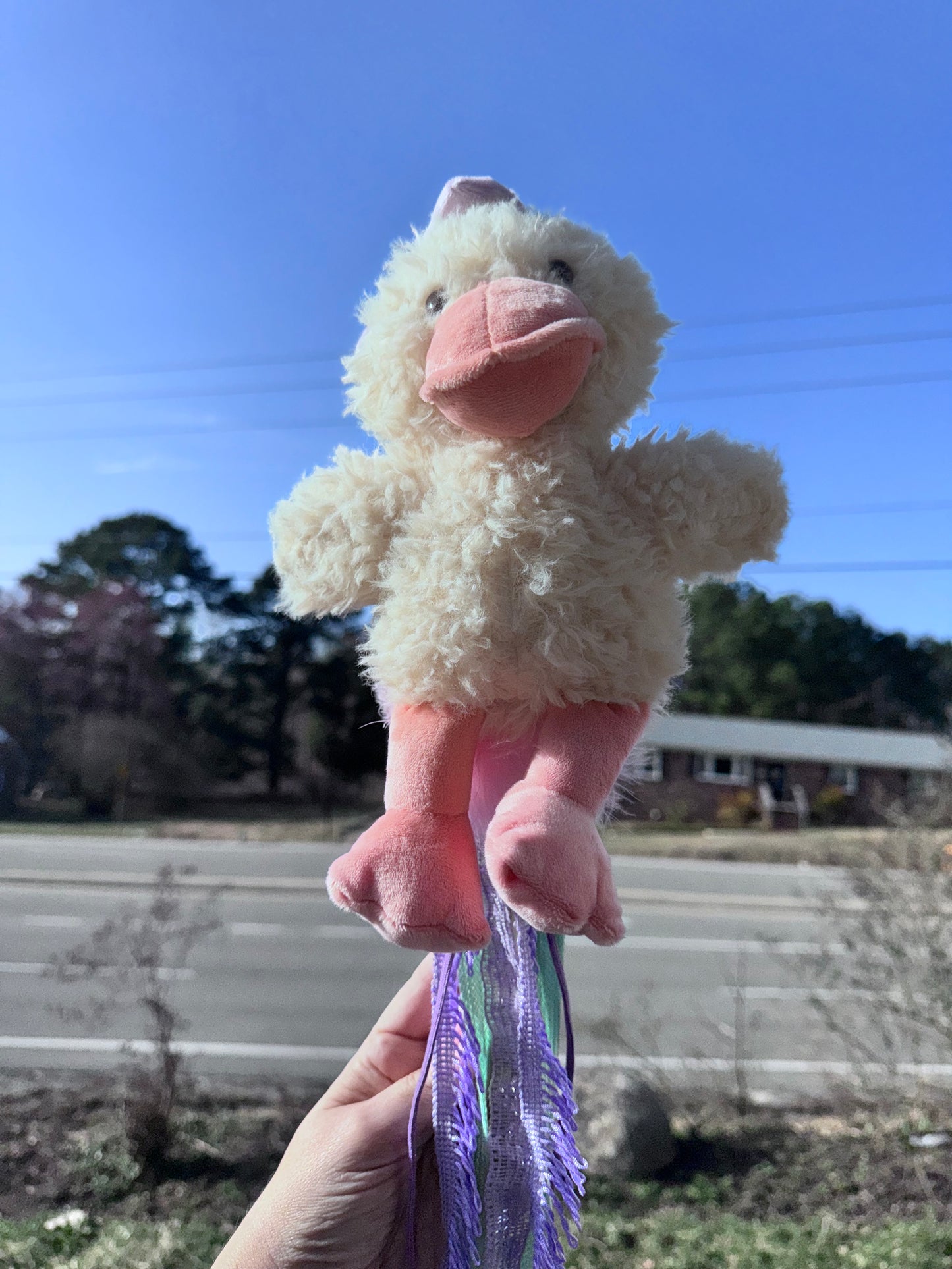 Duckie Wand